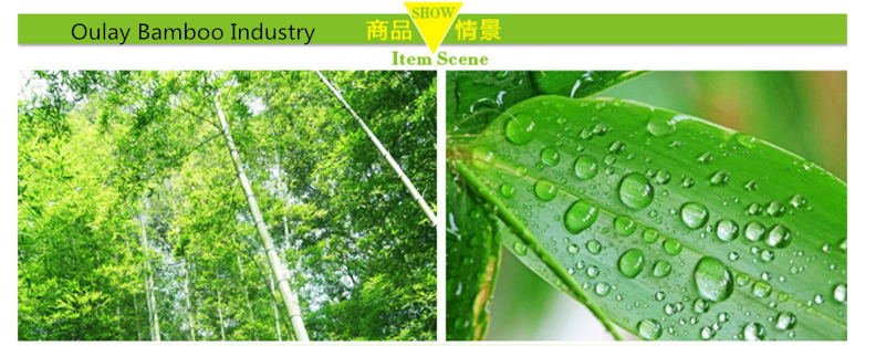 Oulay Bamboo Industry over 18 years exporter