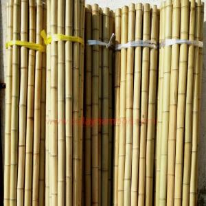 bamboo poles canes sticks