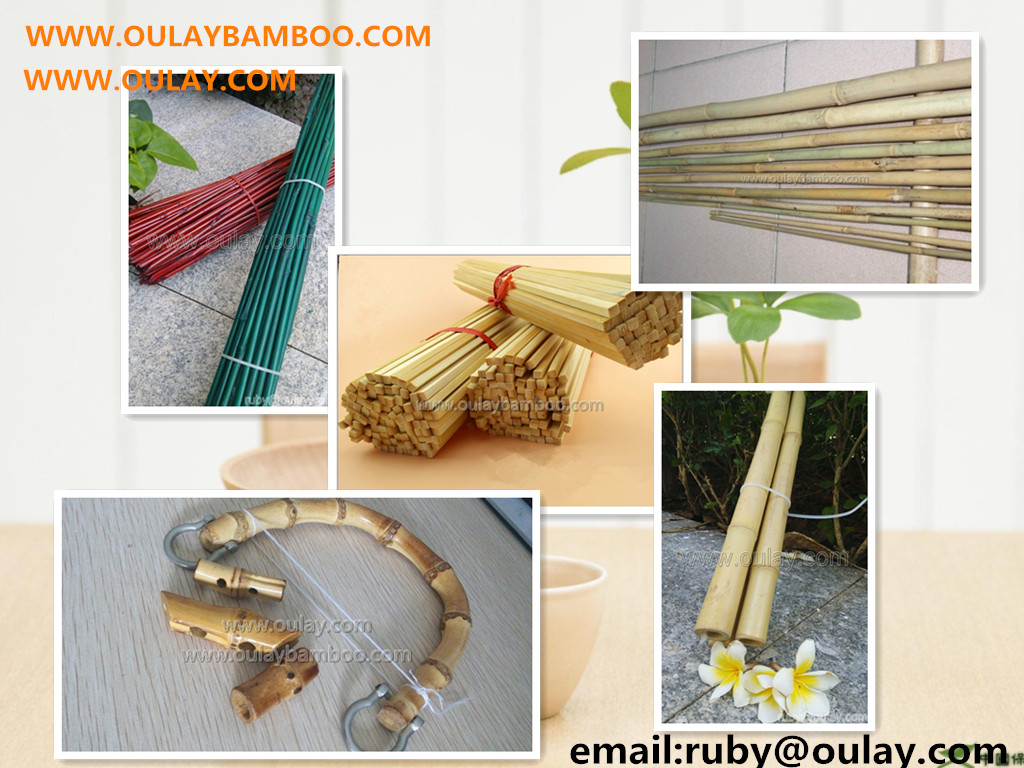 Oulay Bamboo Industry tonkin bamboo thicked wall poles