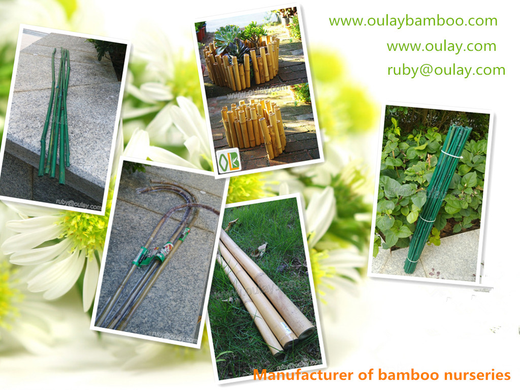 Agriculture bamboo poles for garden plants