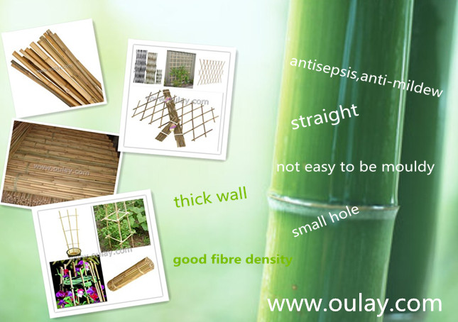Bamboo poles treating processes