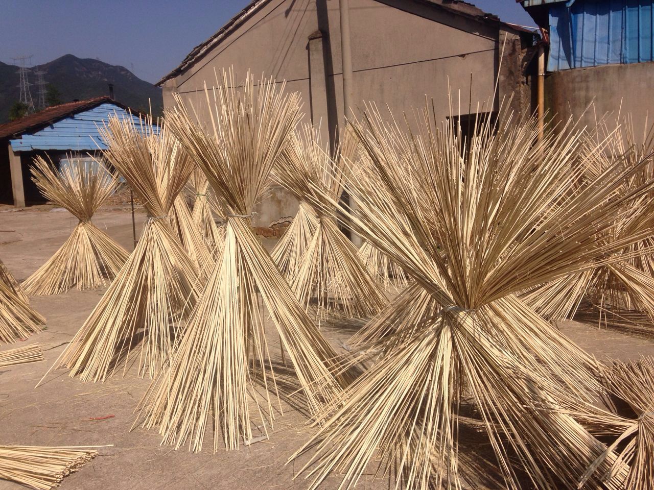 Dry treated bamboo strips