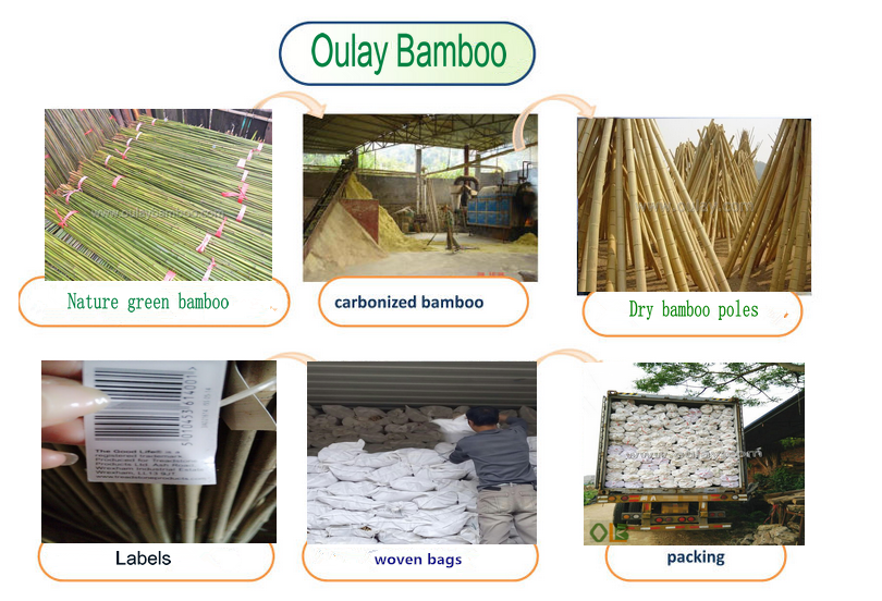Oulay Bamboo Industry