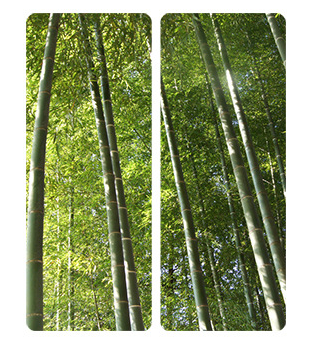 Oulay Bamboo Industry Manufacturer