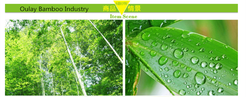 Oulay Bamboo Industry Manufacturer