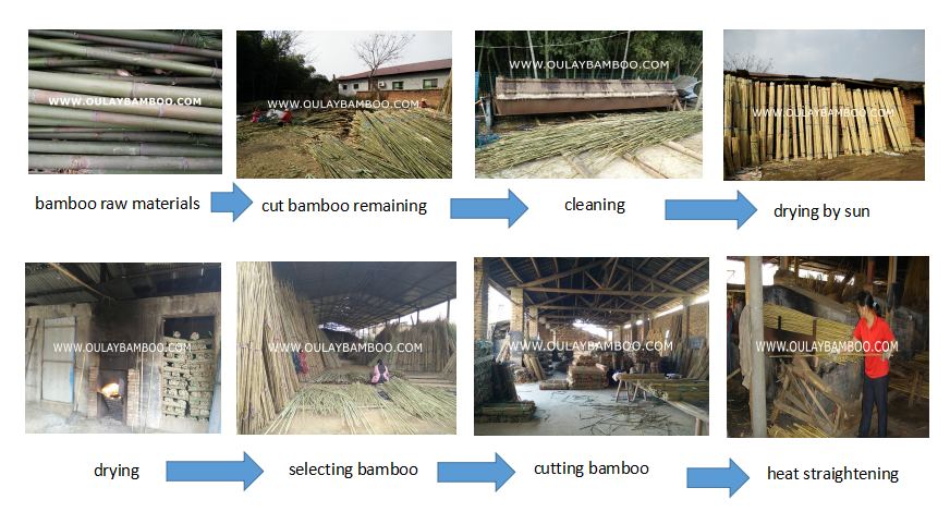 Production processes of bamboo canes
