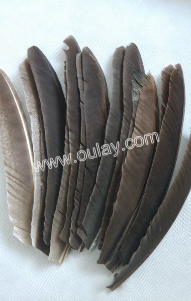 Full Length Cut Turkey Fletchings