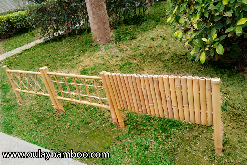 bamboo fence