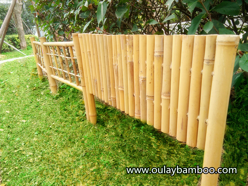 bamboo fence