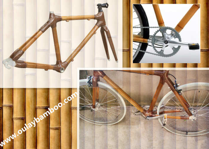 bamboo bike