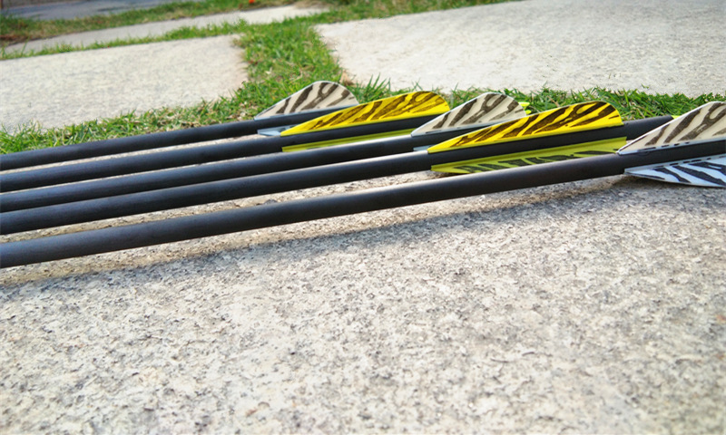 carbon arrow