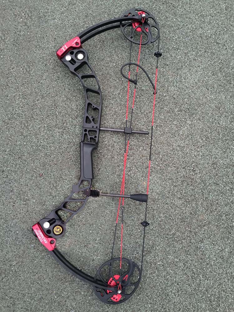 Compound Bow