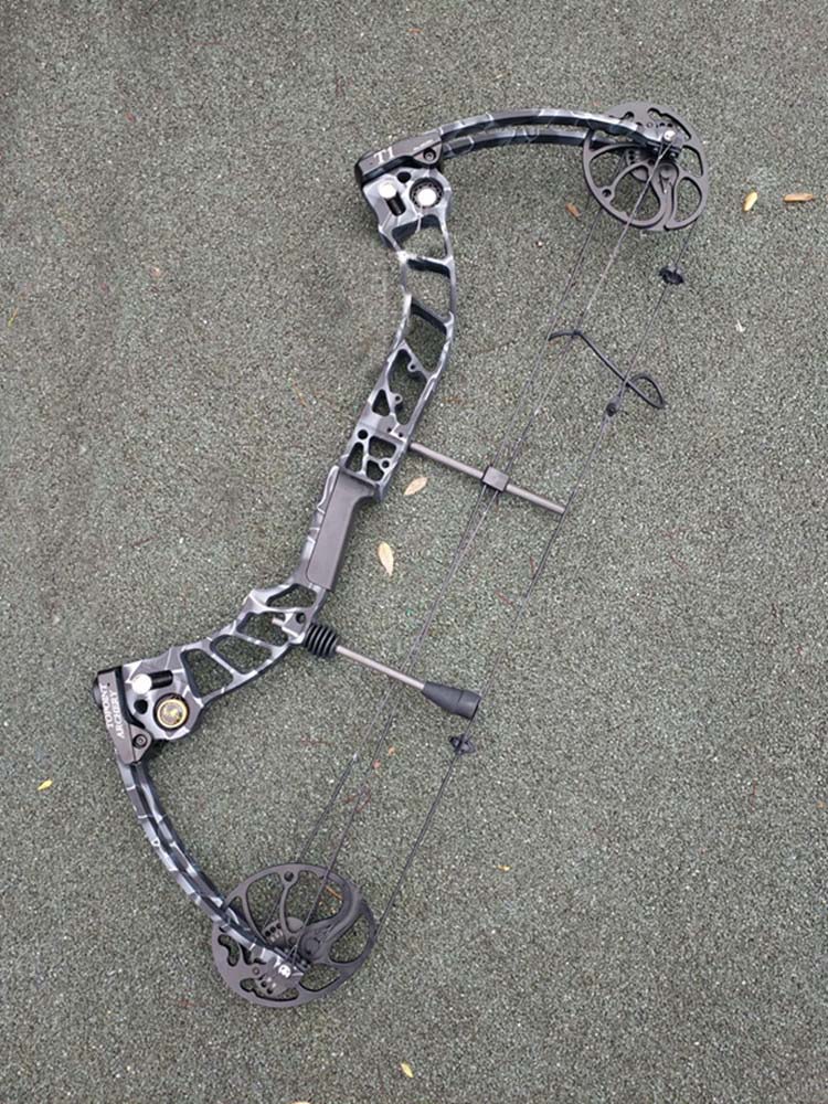 Compound Bow