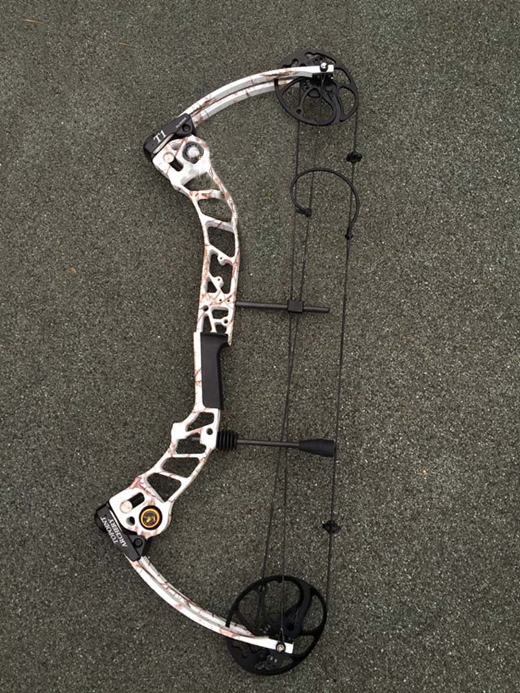 Compound Bow