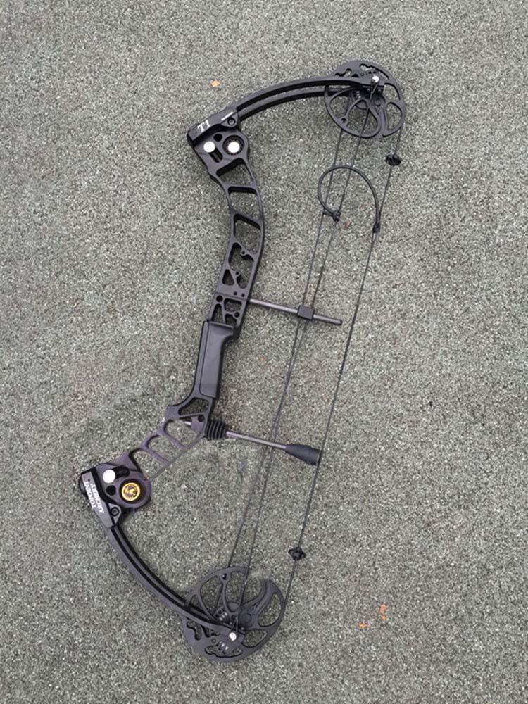 Compound Bow