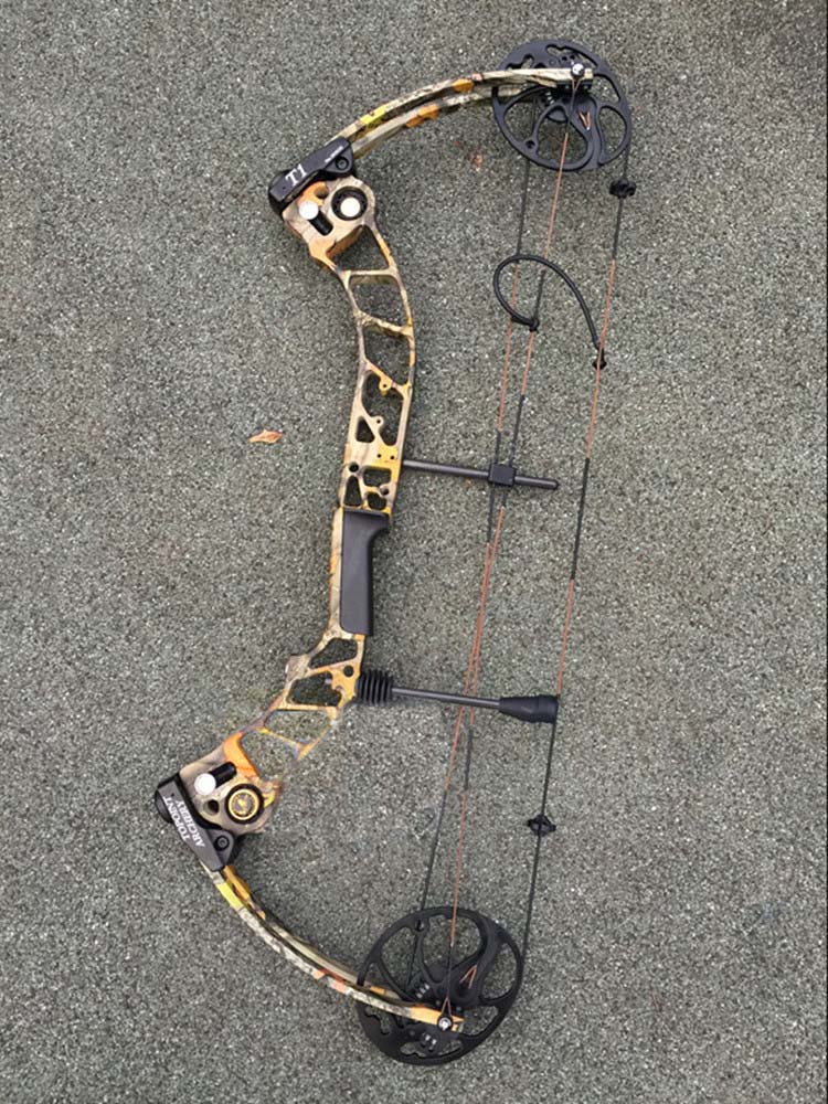 Compound Bow