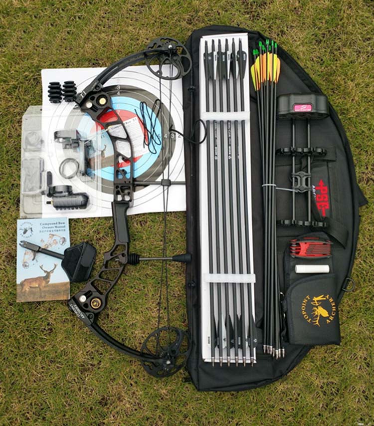 Compound Bow