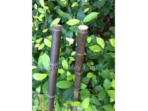 Dry bamboo poles