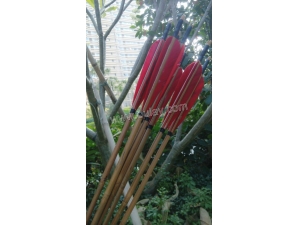 Turkey fletchings archery arrows