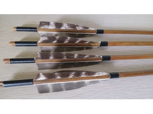 Archery  arrows with OX horn