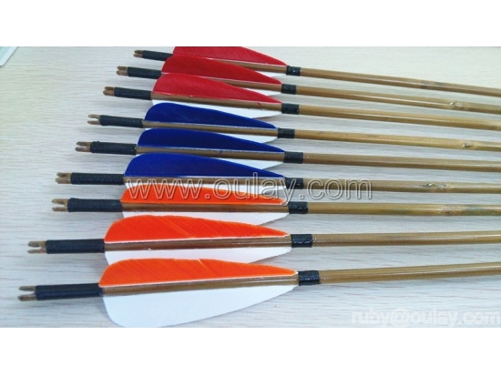 Colorful archery fletchings arrows