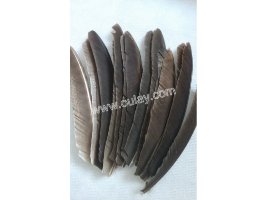 Turkey fletchings for bamboo arrows