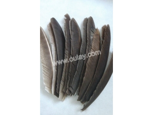 Turkey fletchings for bamboo arrows
