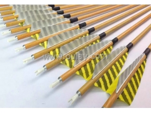 Wood colors carbon hunter arrows