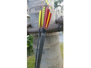 0.002~0.004 Top quality carbon arrows for archery