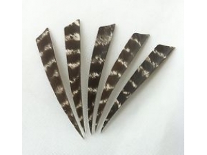 Turkey fletchings for bamboo arrows