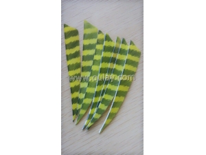 Striped archery fletchings