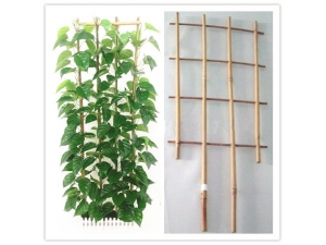 bamboo trellis