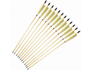 100gr arrow tips wood arows