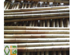 Bamboo Poles  By House