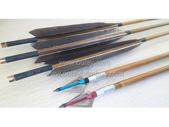 Archery bamboo tonkin arrows with nocks