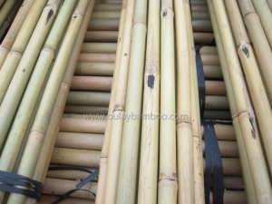 Nature Dry Straight Farming Bamboo Poles for sales