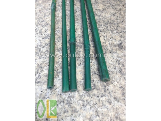 colorful bamboo sticks