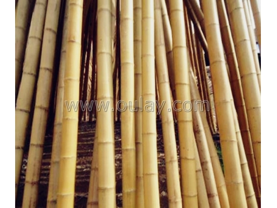 Small package of bamboo canes  for agriculture