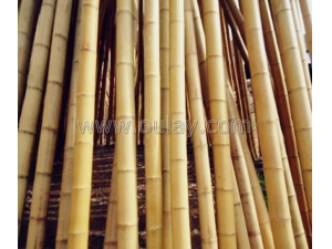 Small package of bamboo canes  for agriculture