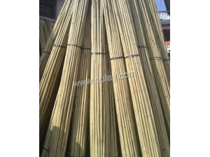 Top quality bamboo cane bundles