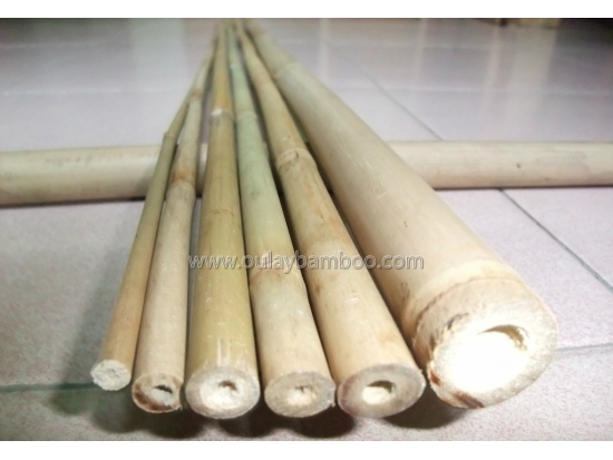 Strong nature yellow dry bamboo stakes