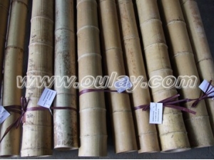 Strong nature yellow dry bamboo stakes for plants