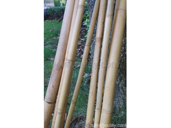 Strong nature yellow dry bamboo stakes for plants
