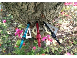 Broadheads wholesale