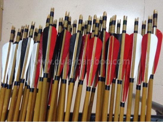 Bowhunting bamboo arrows with inserts