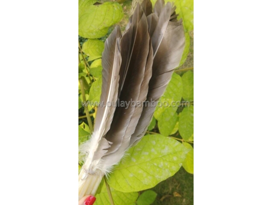 Beautiful goose feathers for archery arrows and decoration