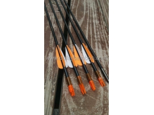Archery Fiberglass Arrows