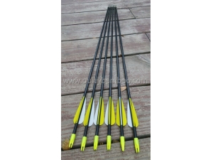 Fiberglass Arrow For Archery Bow
