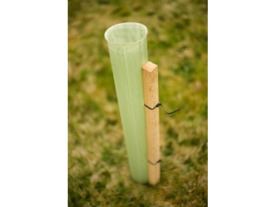 Outdoor Plastic Guards For Tutor Trees