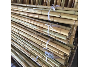 Nature Dry Straight Farming Bamboo Sticks for Sales